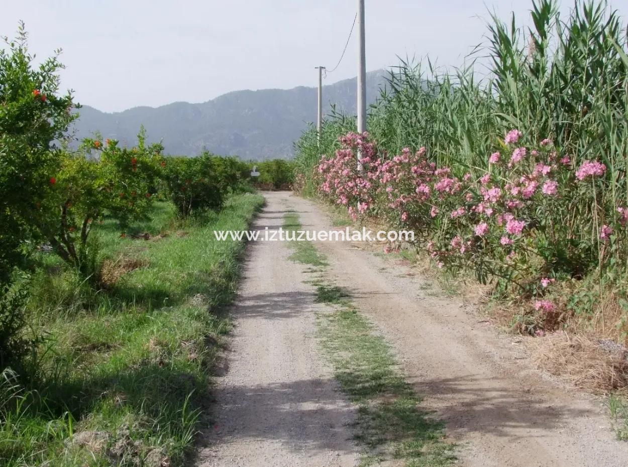 Dalyan İztuzu Satılık Bahçe Dalyan Göle Sıfır Satılık Arsa