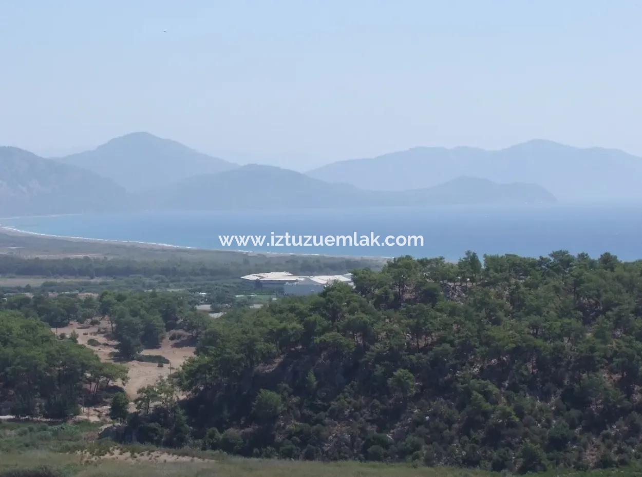 Sarıgerme Satılık Arsa Full Deniz Manzaralı Satılık Arsa