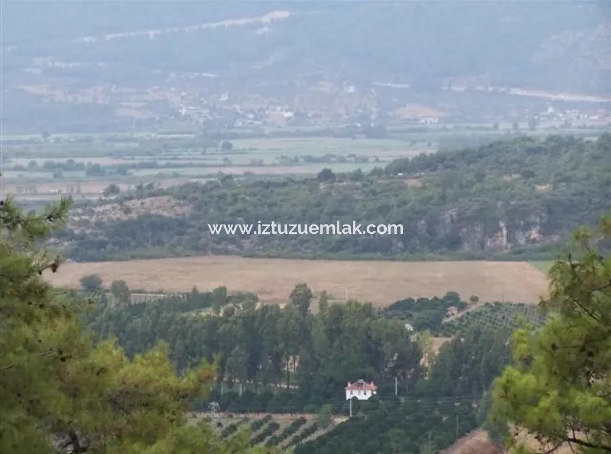 Gökçe Satılık Arsa Gökçe 21671M2 Satılık Tarla