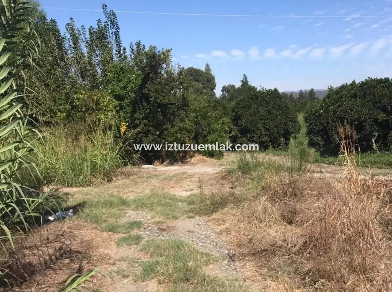 Doğuşbelenden Satılık Bahçe Arsa Köyceğiz Döğüşbelende Satılık Narence Bahçesi