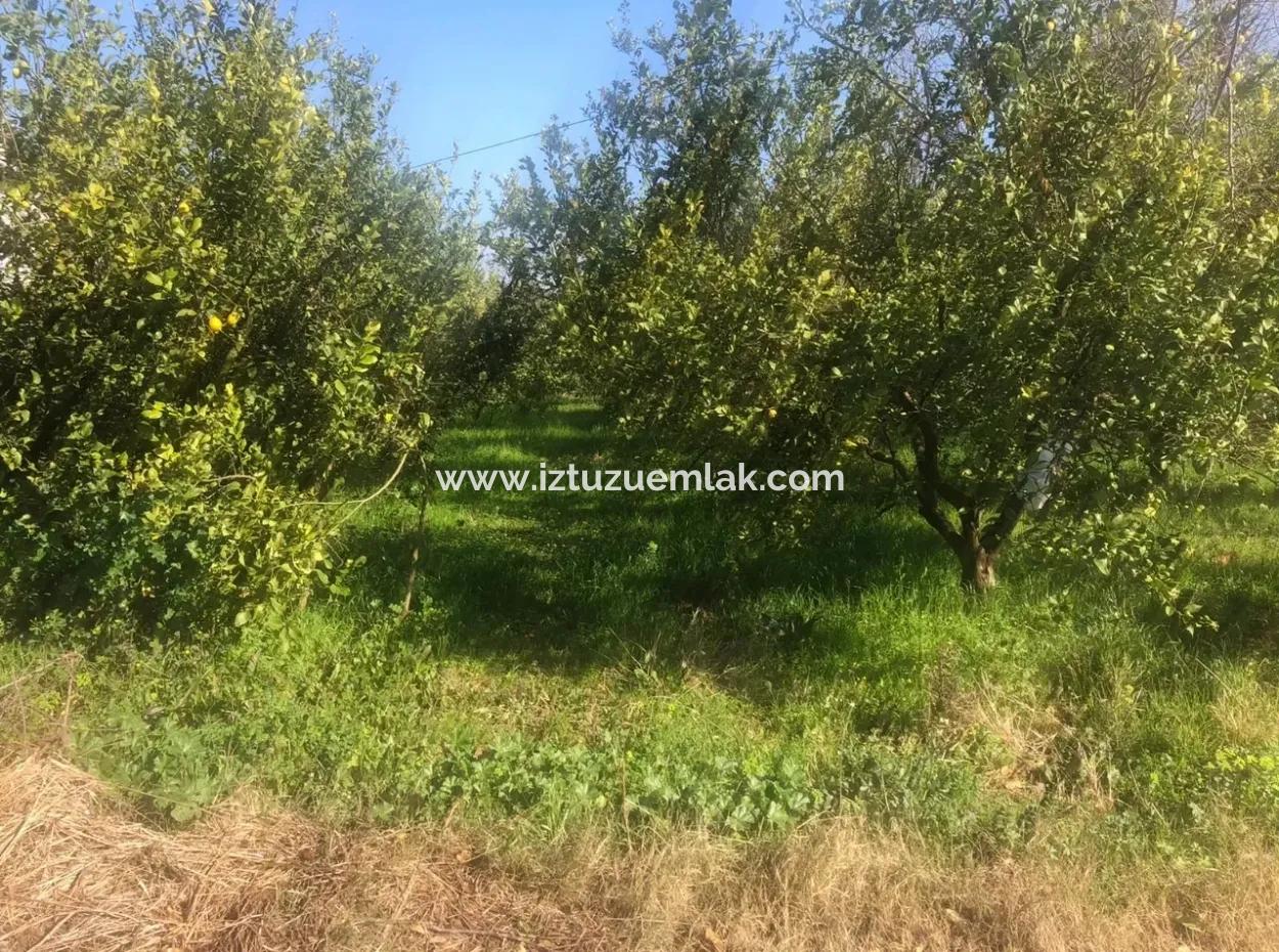 Akıncıda Satılık Arsa 803M2  İmarlı  Satılık Arsa