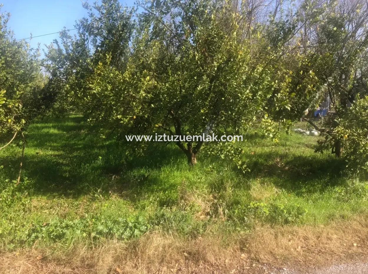 Akıncıda Satılık Arsa 803M2  İmarlı  Satılık Arsa