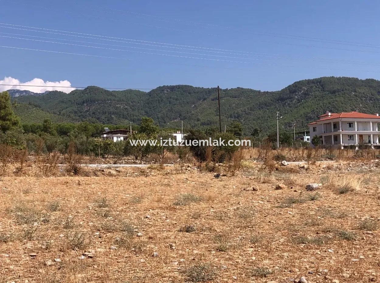 Köyceğiz Zeytinalanı'nda Göl Manzaralı 11.227M2 Satılık Arsa