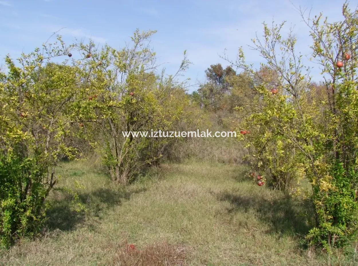 Güzelyurt Satılık Arsa  Köy Yerleşik 6670M2 Satılık Arazi