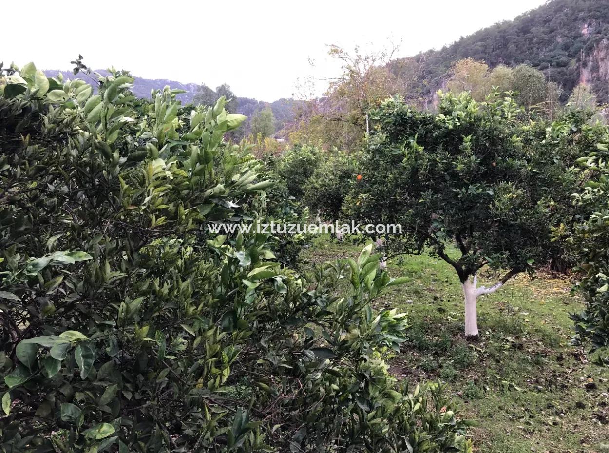 Okçular'da 1222M2 Arsa İçerisinde Satılık Tek Katlı Müstakil Ev