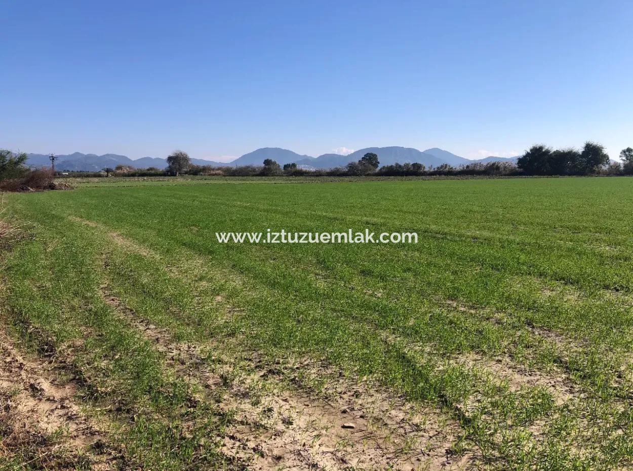 Sarıgermede Satılık Arsa Deniz Manzaralı 30,000M2 Satılık Arsa