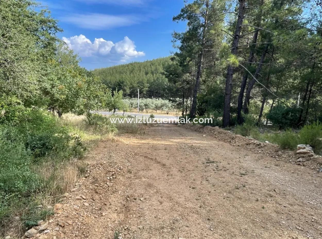 Ula Armutçuk Da 501M2 İmarlı Satılık Arsa