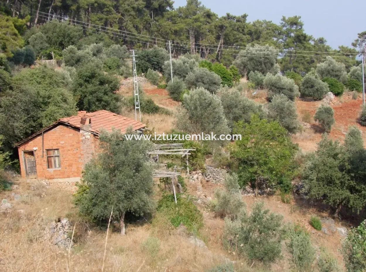 Akyaka Kandilli De Satılık Arsa 5000M2 Full Deniz Manzaralı Satılık Köy Evi Arsa