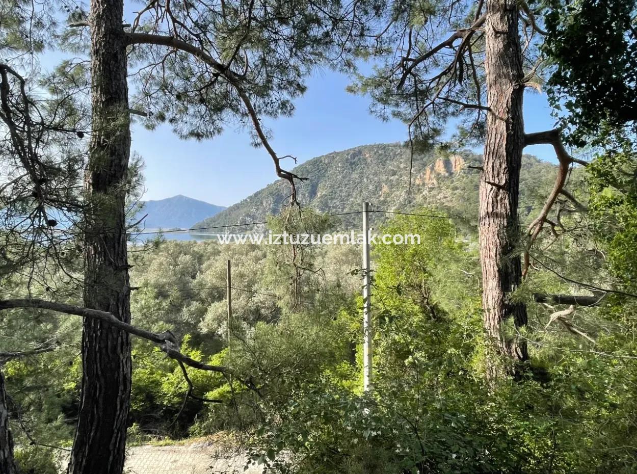 Çandır Göl Manzaralı Satılık 1,136M2 Tarla Arsa