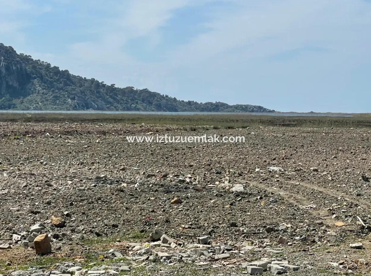 Dalyan İztuzu Plaj Yoluna Sıfır 19,600M2 Satılık Tarla Arazi