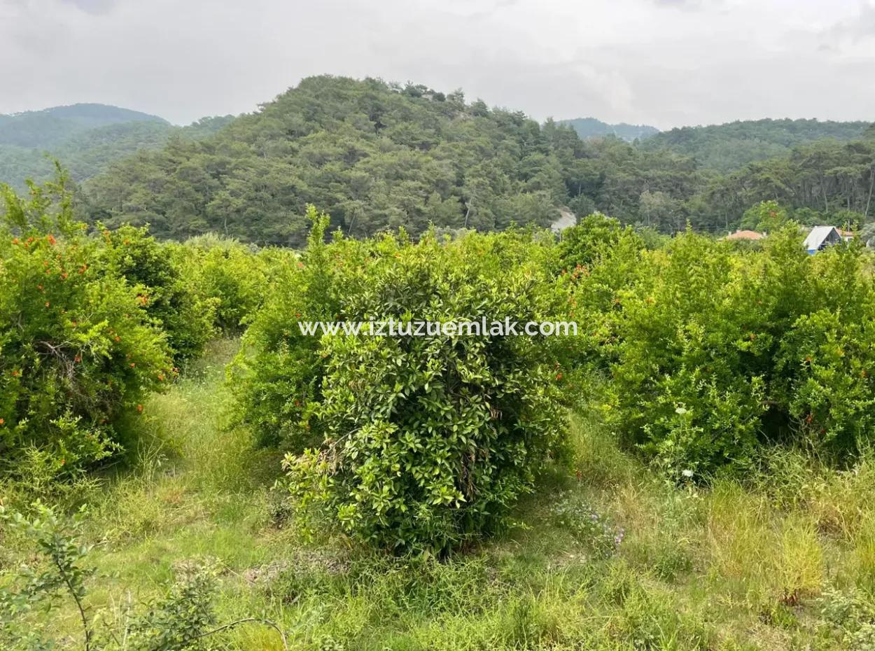 Gökbelde 14,000M2 Satılık Tarla