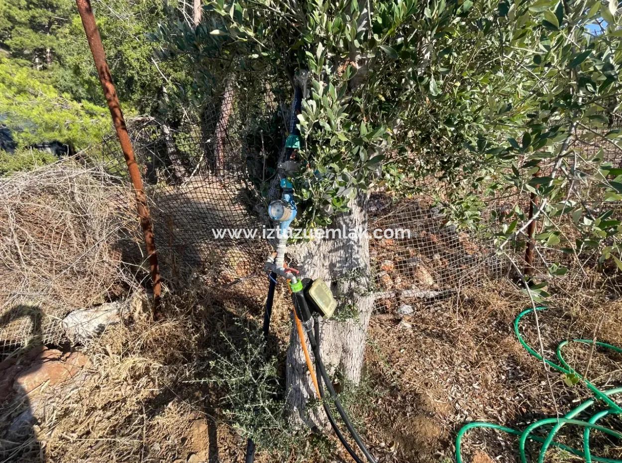 Çandır Full Deniz Ve Göl Manzaralı 500M2 Satılık 2B Tarla