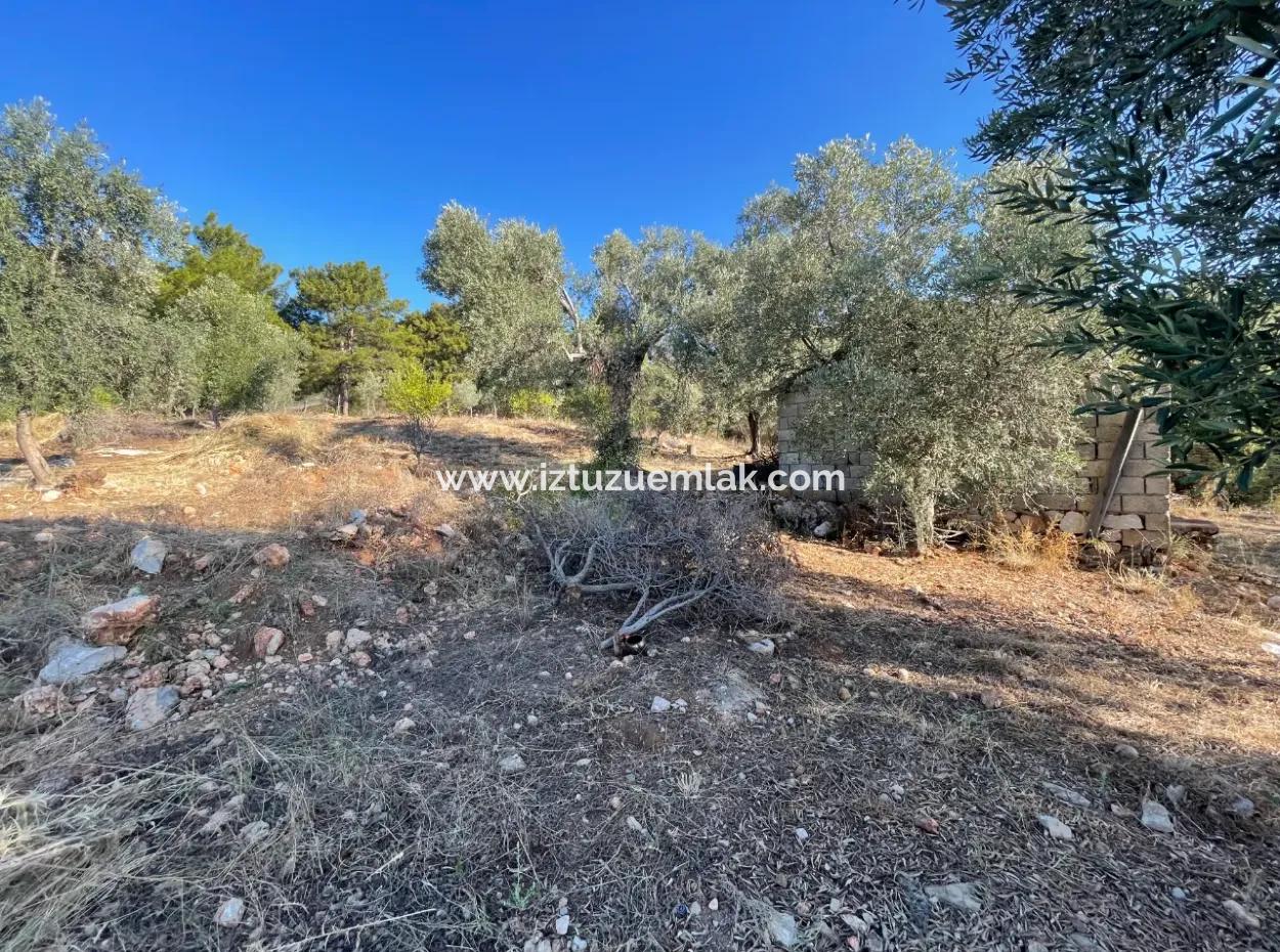 Çandır Full Deniz Ve Göl Manzaralı 500M2 Satılık 2B Tarla