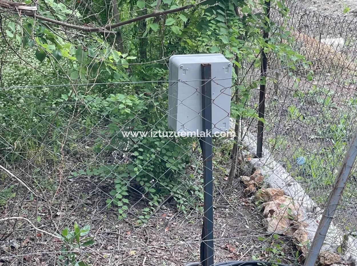 Dalyan''da Merkeze Yakın 2,528M2 Satılık Tarla