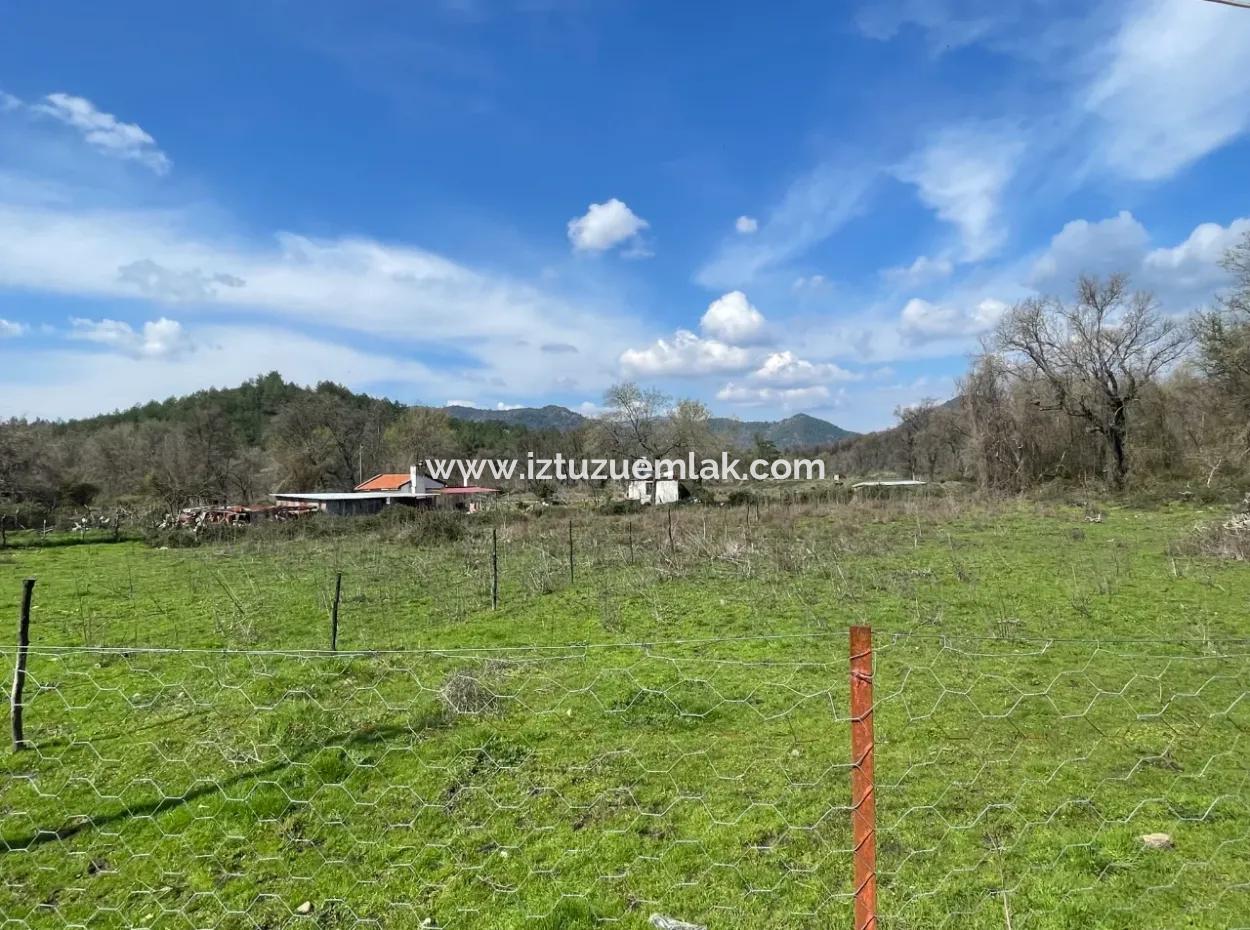 Sultaniye Büyükkaraç Mahallesin Satılık Tarla